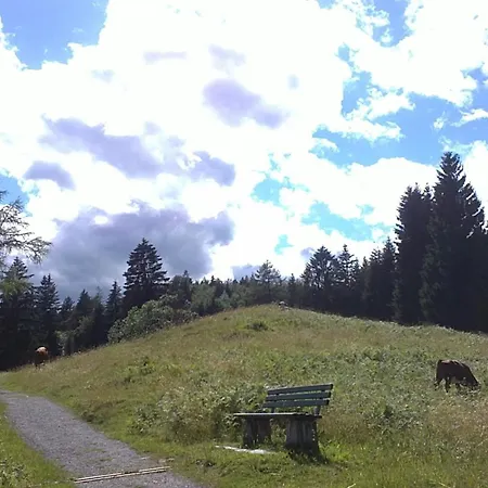 Guest house Steinbrech