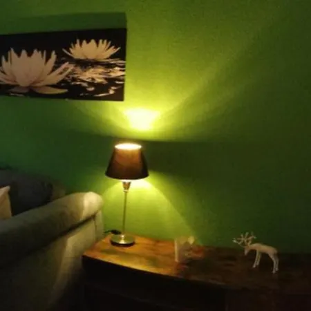 Steinbrech Guest house 3*