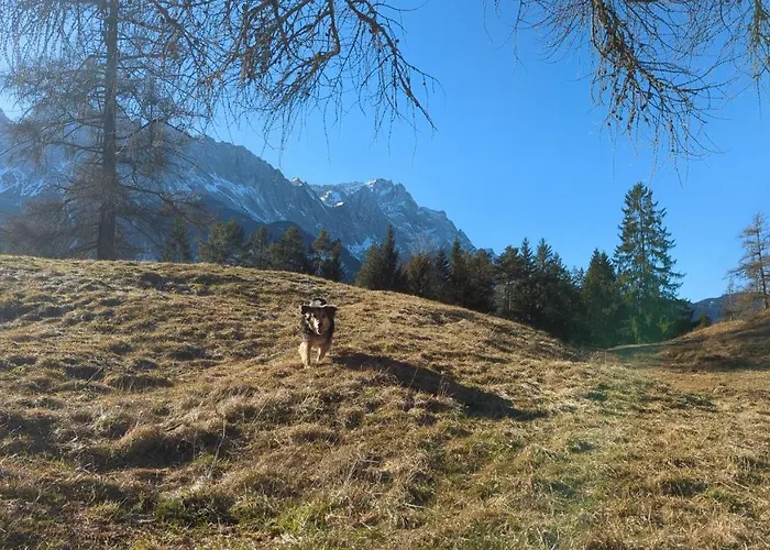 Pensjonat Steinbrech 3*