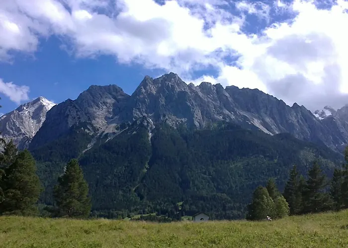 Steinbrech