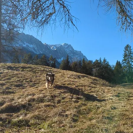 Penzion Steinbrech 3*