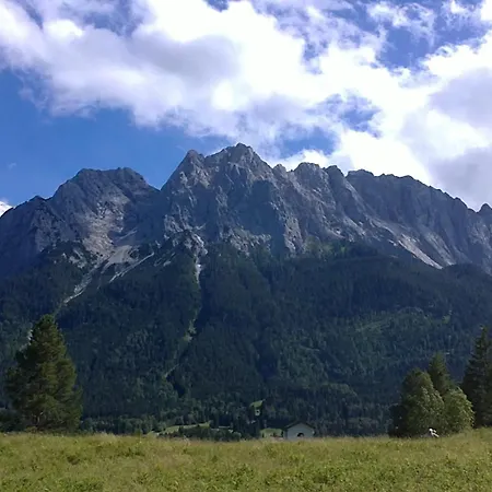 Steinbrech