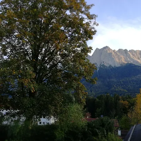 Steinbrech Грайнау